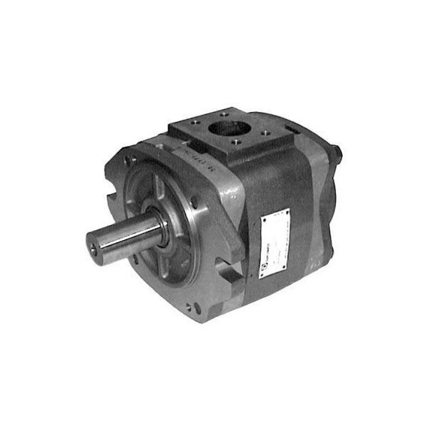Pompes Hydraulique À Engrenages Internes   IGP3