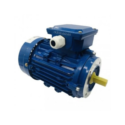 Moteur triphasé 3Kw 4CV 230/400V 3000 tr/min IE1 Bride B14