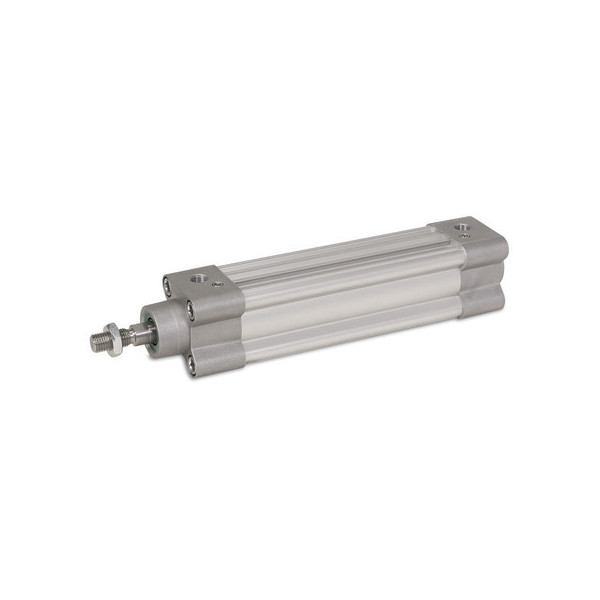 Vérin pneumatique 32x200 double effet LH0320200 - Aignep