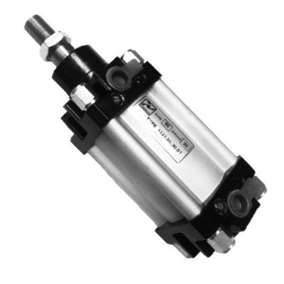 Verin Pneumatique Standard Serie 1321 1321 Maroc