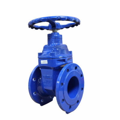 Cast iron gate valves with flange PN16 - DN65 - G2 1/2