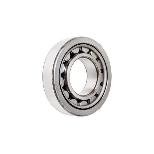 Roulements à une rangée de rouleaux cylindriques NJ-2208 40x80x23mm - ISB