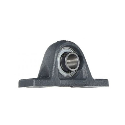 Support avec roulement axe 17mm RASEY - INA