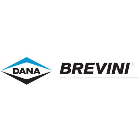 DANA BREVINI