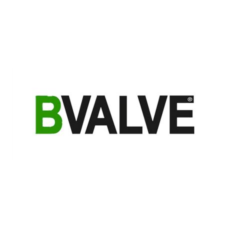 BVALVE